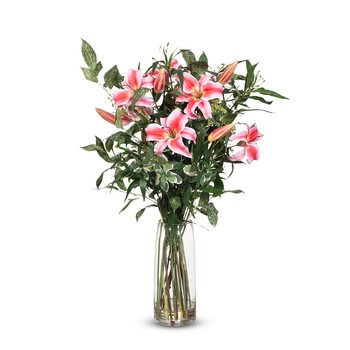 Casablanca Lily Mix in Vase - Hot Pink