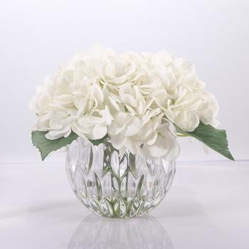 Hydrangeas White Luxury collection