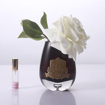 Tea Rose in Black Glass - Ivory White