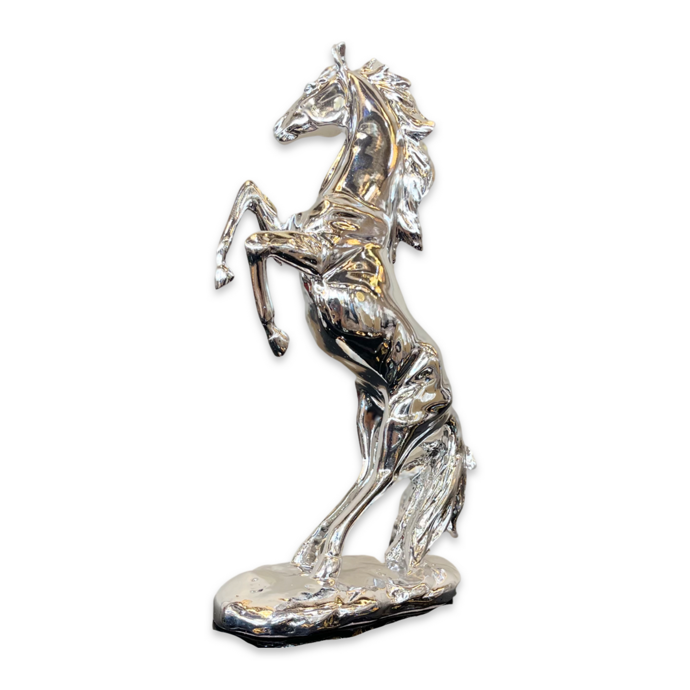 Silver Stallion Standing