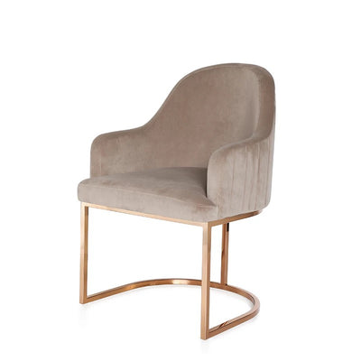 Chairs Perth - Dining Chairs Perth | Malaga | O'Connor | Hollywood Interiors